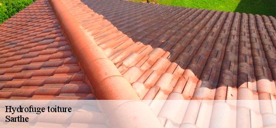 Hydrofuge toiture 72 Sarthe Artisan Dubois nettoyage