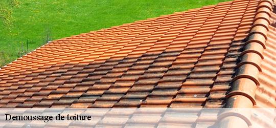 Demoussage de toiture  artheze-72270 Léopold Rénov 72