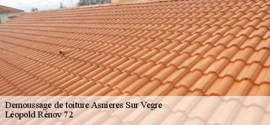 Demoussage de toiture asnieres-sur-vegre-72430 Léopold Rénov 72