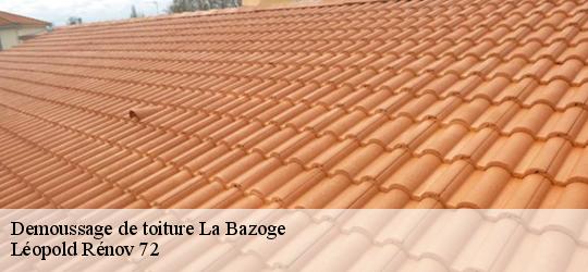 Demoussage de toiture  la-bazoge-72650 Léopold Rénov 72