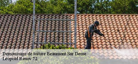 Demoussage de toiture  beaumont-sur-deme-72340 Léopold Rénov 72