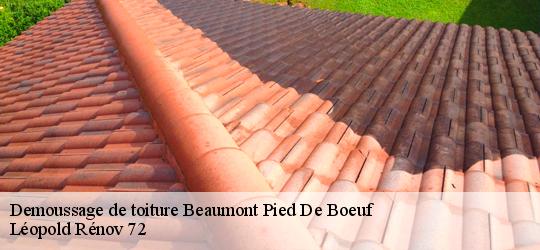 Demoussage de toiture  beaumont-pied-de-boeuf-72500 Léopold Rénov 72