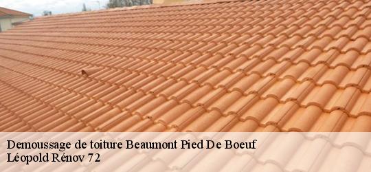 Demoussage de toiture  beaumont-pied-de-boeuf-72500 Léopold Rénov 72