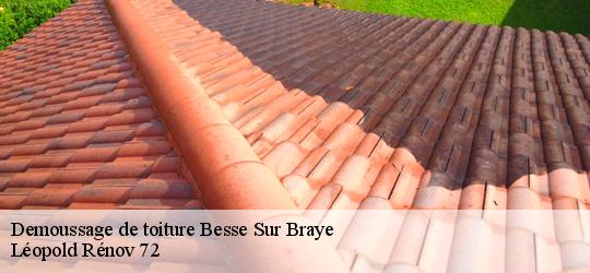 Demoussage de toiture  besse-sur-braye-72310 Léopold Rénov 72