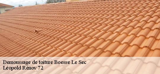 Demoussage de toiture boesse-le-sec-72400 Léopold Rénov 72