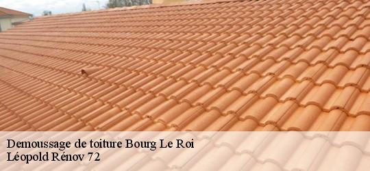 Demoussage de toiture  bourg-le-roi-72610 Léopold Rénov 72