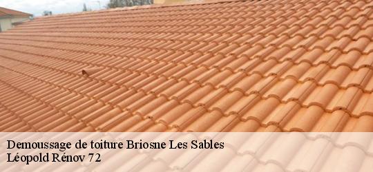 Demoussage de toiture  briosne-les-sables-72110 Léopold Rénov 72