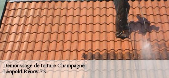 Demoussage de toiture  champagne-72470 Léopold Rénov 72