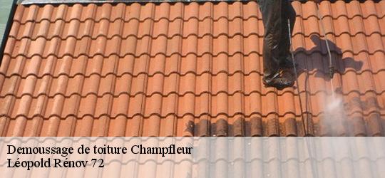 Demoussage de toiture champfleur-72610 Léopold Rénov 72