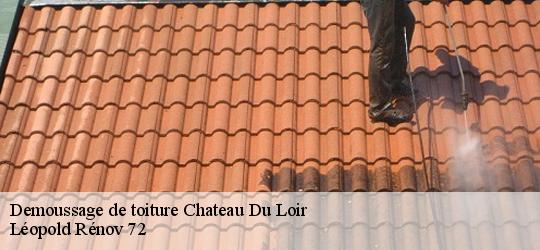 Demoussage de toiture  chateau-du-loir-72500 Léopold Rénov 72