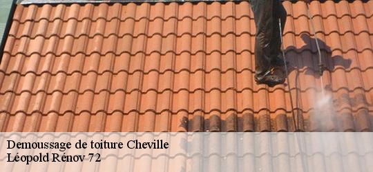 Demoussage de toiture  cheville-72350 Léopold Rénov 72