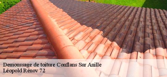 Demoussage de toiture  conflans-sur-anille-72120 Léopold Rénov 72