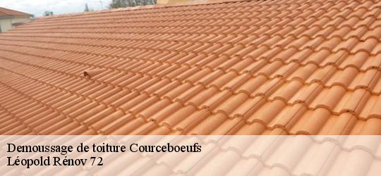 Demoussage de toiture courceboeufs-72290 Léopold Rénov 72