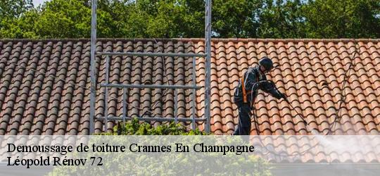 Demoussage de toiture crannes-en-champagne-72540 Léopold Rénov 72