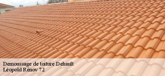 Demoussage de toiture dehault-72400 Léopold Rénov 72