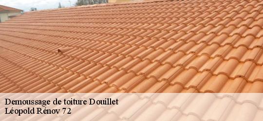 Demoussage de toiture douillet-72590 Léopold Rénov 72