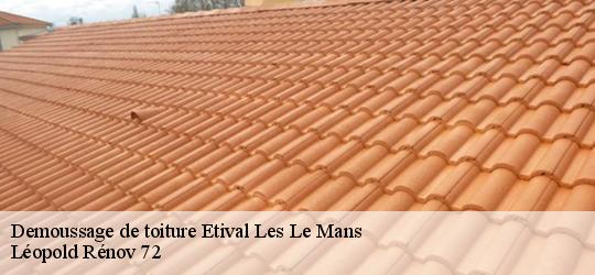 Demoussage de toiture etival-les-le-mans-72700 Léopold Rénov 72