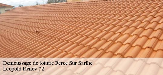 Demoussage de toiture  ferce-sur-sarthe-72430 Léopold Rénov 72