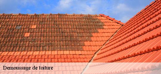 Demoussage de toiture la-fresnaye-sur-chedouet-72670 Léopold Rénov 72