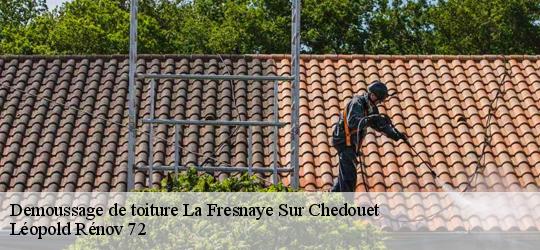 Demoussage de toiture la-fresnaye-sur-chedouet-72670 Léopold Rénov 72