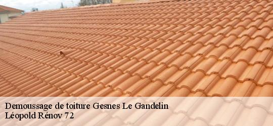 Demoussage de toiture  gesnes-le-gandelin-72130 Léopold Rénov 72