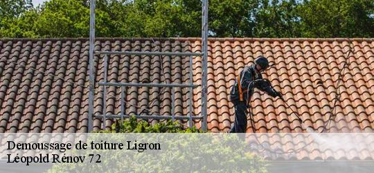 Demoussage de toiture  ligron-72270 Léopold Rénov 72
