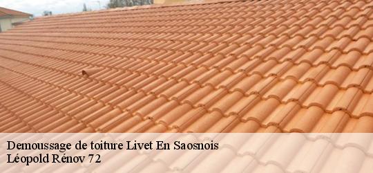 Demoussage de toiture livet-en-saosnois-72610 Léopold Rénov 72
