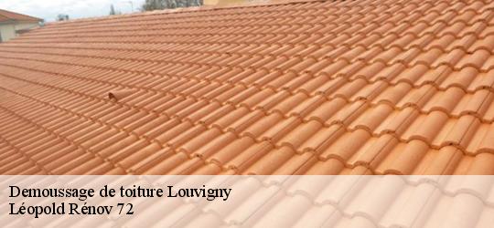 Demoussage de toiture louvigny-72600 Léopold Rénov 72