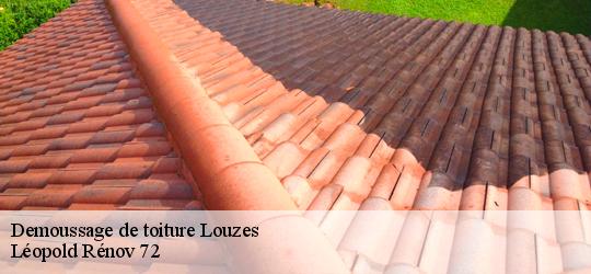 Demoussage de toiture louzes-72670 Léopold Rénov 72