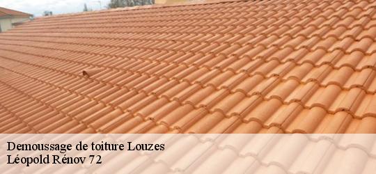 Demoussage de toiture louzes-72670 Léopold Rénov 72