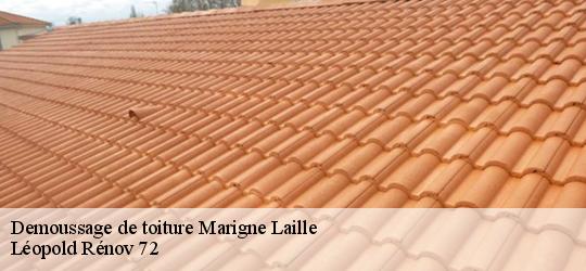 Demoussage de toiture marigne-laille-72220 Léopold Rénov 72