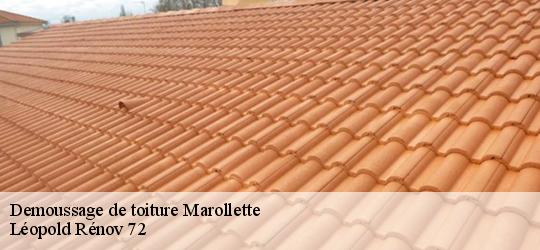Demoussage de toiture marollette-72600 Léopold Rénov 72