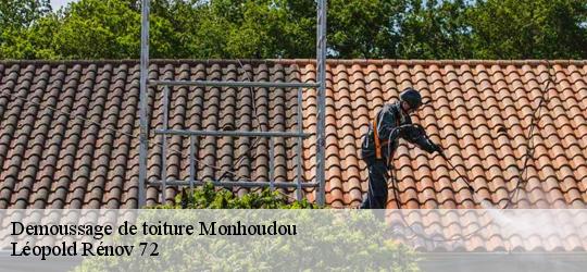Demoussage de toiture  monhoudou-72260 Léopold Rénov 72