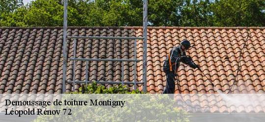 Demoussage de toiture  montigny-72670 Léopold Rénov 72