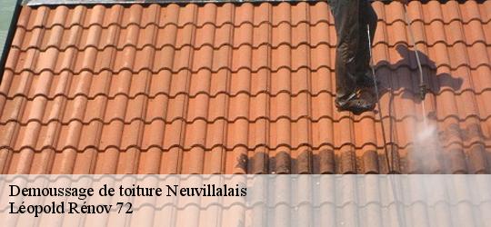 Demoussage de toiture neuvillalais-72240 Artisan Dubois nettoyage
