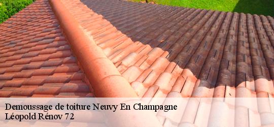 Demoussage de toiture  neuvy-en-champagne-72240 Léopold Rénov 72