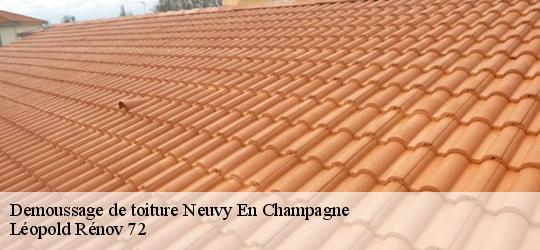 Demoussage de toiture  neuvy-en-champagne-72240 Léopold Rénov 72