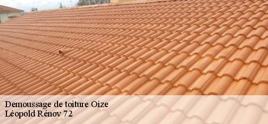 Demoussage de toiture oize-72330 Léopold Rénov 72