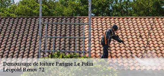 Demoussage de toiture  parigne-le-polin-72330 Léopold Rénov 72