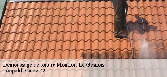 Demoussage de toiture  montfort-le-gesnois-72450 Léopold Rénov 72