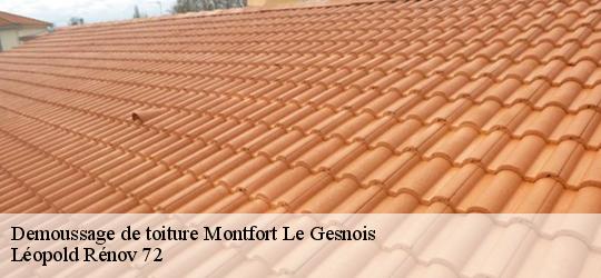 Demoussage de toiture  montfort-le-gesnois-72450 Léopold Rénov 72