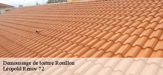 Demoussage de toiture rouillon-72700 Léopold Rénov 72