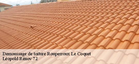 Demoussage de toiture  rouperroux-le-coquet-72110 Léopold Rénov 72