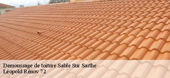 Demoussage de toiture  sable-sur-sarthe-72300 Léopold Rénov 72