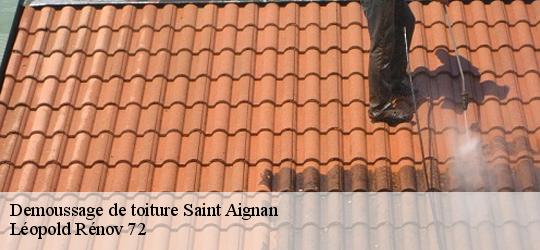 Demoussage de toiture  saint-aignan-72110 Léopold Rénov 72