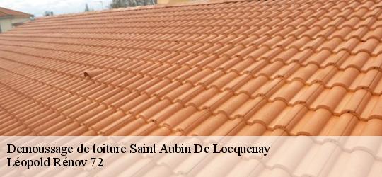 Demoussage de toiture  saint-aubin-de-locquenay-72130 Léopold Rénov 72