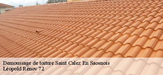 Demoussage de toiture  saint-calez-en-saosnois-72600 Léopold Rénov 72