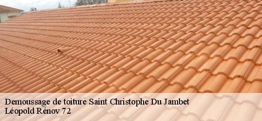 Demoussage de toiture  saint-christophe-du-jambet-72170 Léopold Rénov 72
