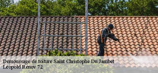 Demoussage de toiture saint-christophe-du-jambet-72170 Léopold Rénov 72
