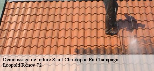 Demoussage de toiture  saint-christophe-en-champagn-72540 Léopold Rénov 72